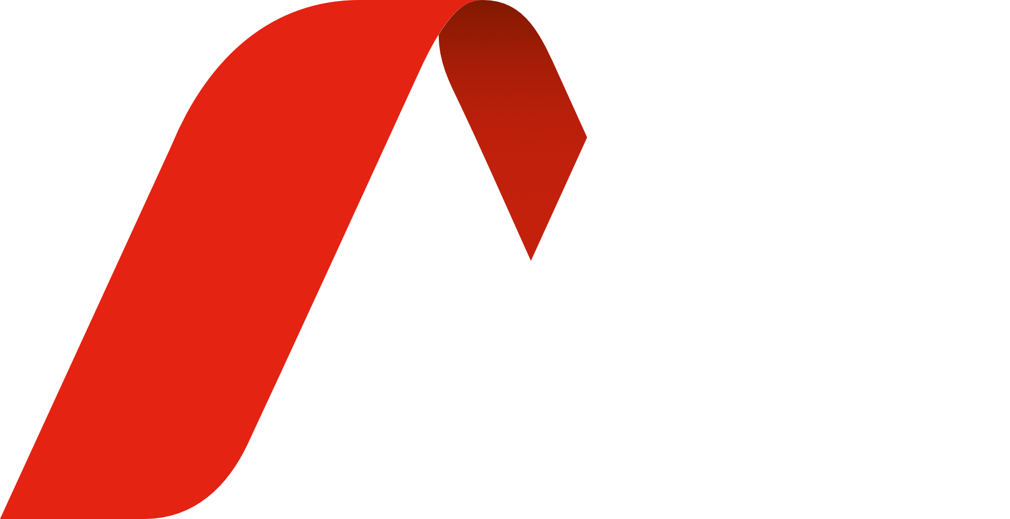 Allied Vision Logo back