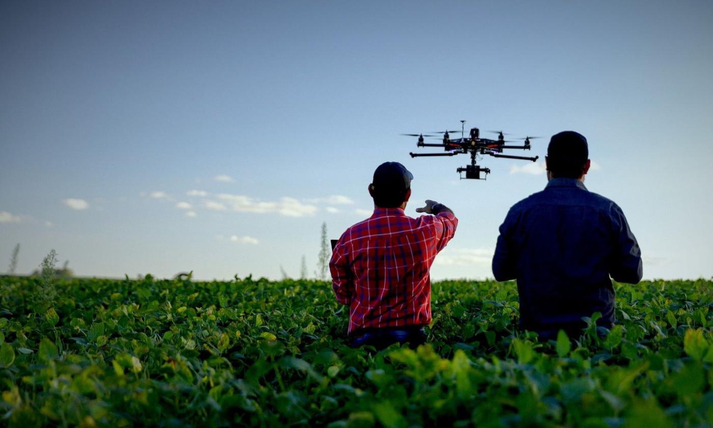 csm Application Agriculture vign cb28b9348b