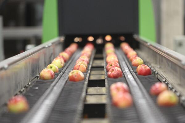 AlliedVision Application Friutsorting detail