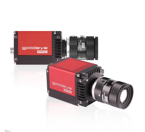 Goldeye Pro G5 Double